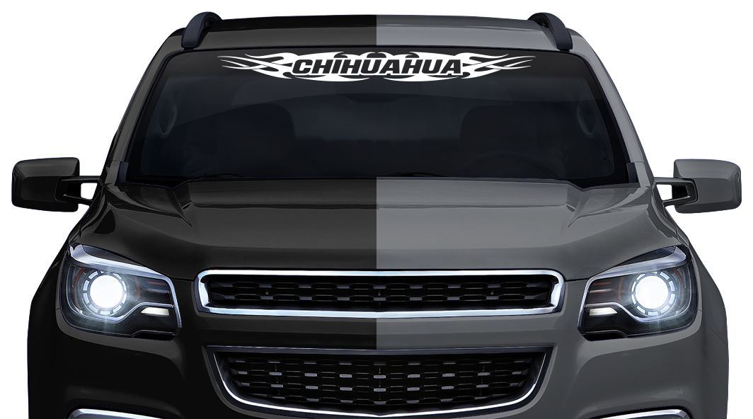 #148 CHIHUAHUA CHIH Mexico Decal Sticker Windshield Window Vinyl Graphic Banner Decoration Tribal Flame Design 36"x4.25"+