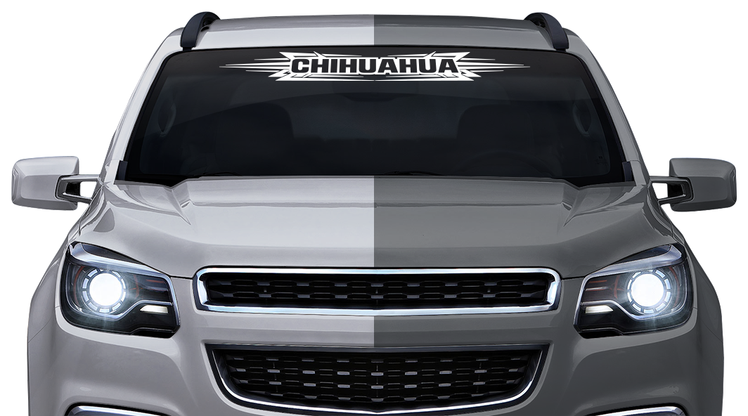 #117 CHIHUAHUA CHIH Mexico Decal Sticker Windshield Window Vinyl Graphic Banner Decoration Tribal Accent Design 36"x4.25"+