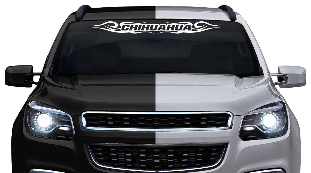 #122 CHIHUAHUA CHIH Mexico Decal Sticker Windshield Window Vinyl Graphic Banner Decoration Tribal Swirl Design 36"x4.25"+