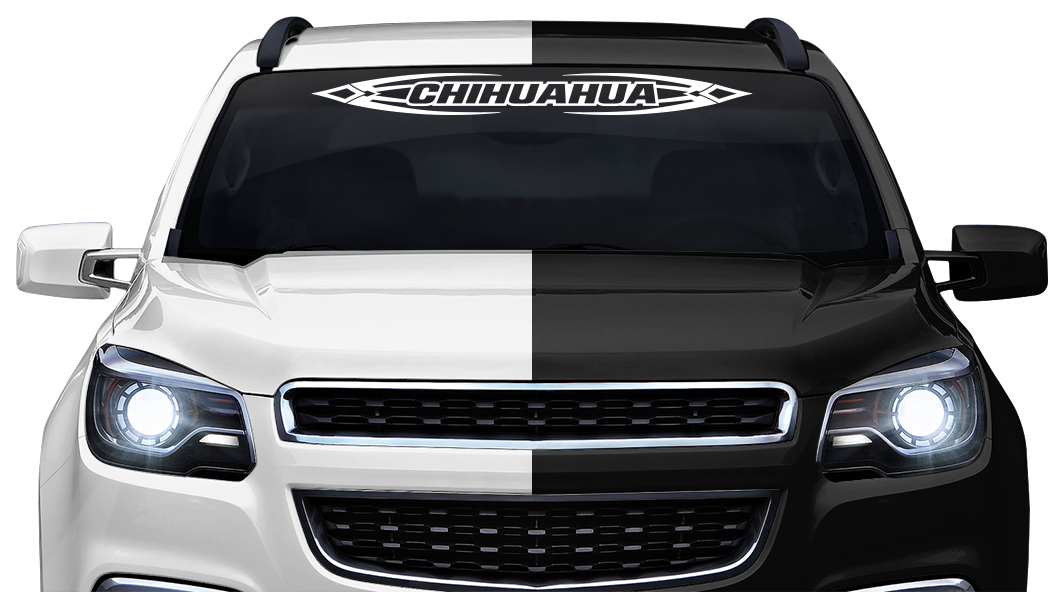 #150 CHIHUAHUA CHIH Mexico Decal Sticker Windshield Window Vinyl Graphic Banner Decoration Tribal Accent Design 36"x4.25"+