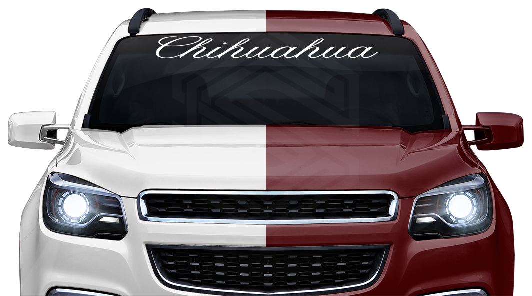 CHIHUAHUA CHIH Mexico Decal Sticker Windshield Window Vinyl Graphic Banner Text Font-Altogscr 36"x4.25"+