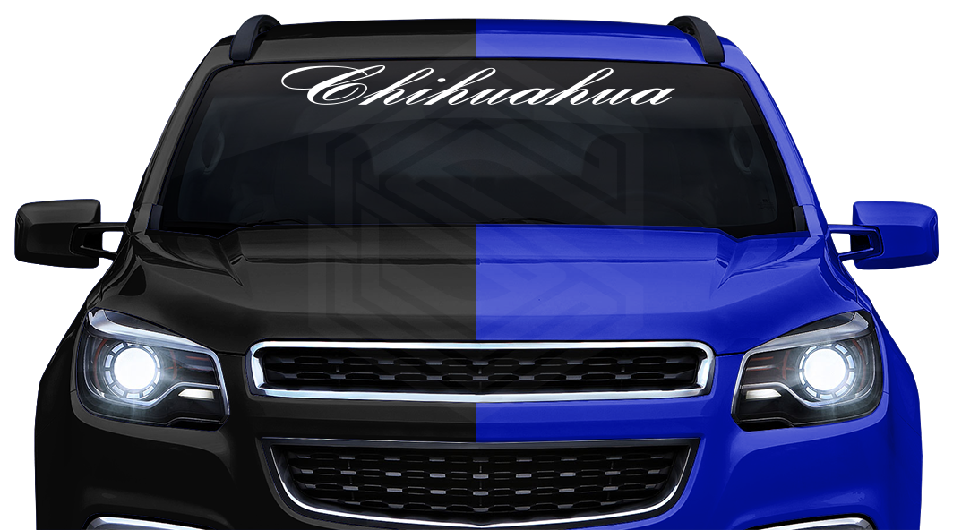 CHIHUAHUA CHIH Mexico Decal Sticker Windshield Window Vinyl Graphic Banner Text Font-Bankscr 36"x4.25"+